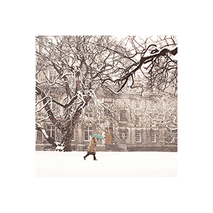 Trinity Under Snow