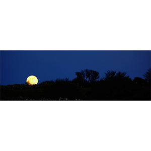 Burren Moon