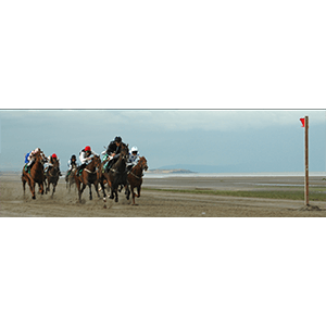 Last Race at Laytown