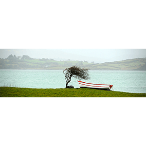 Moored, West Cork