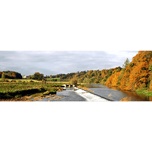 Slane