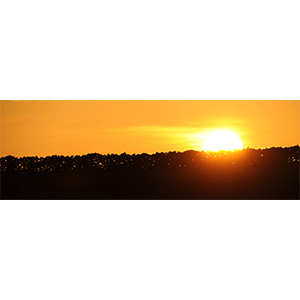 Stone Wall Sunset