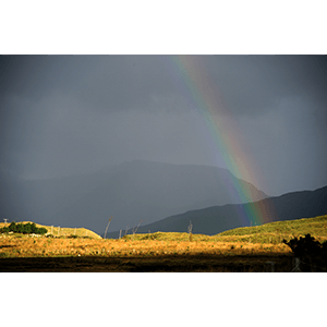 Connemara Rainbow