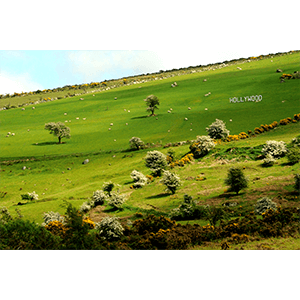 Hollywood, Co. Wicklow